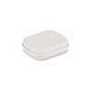 BRISE - Boîte alu 30 g menthe