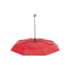 Parapluie - Alexon