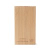 Batterie de secours SILVA 8000 mAh