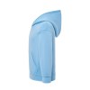 Sweat capuche 290