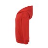 Sweat capuche 290