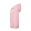 Sweat capuche 290
