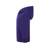 Sweat capuche 290