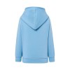 Sweat capuche 290