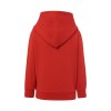 Sweat capuche 290