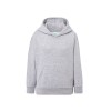 Sweat capuche 290