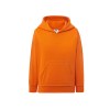 Sweat capuche 290