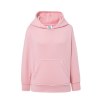 Sweat capuche 290
