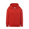 Sweat capuche 290