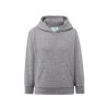 Sweat capuche 290