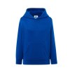 Sweat capuche 290