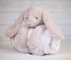 Peluche lapin avec couverture