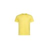 Tee-shirt unisexe col rond