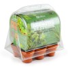 Serre en pet 6 pots aromatiques bio