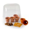 Serre en pet 6 pots aromatiques bio