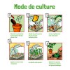 Serre en pet 6 pots aromatiques bio