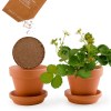 Kit terre cuite - fraisier