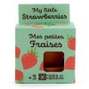 Kit terre cuite - fraisier