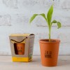 Kit message - j'ai la banane - bananier