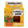 Kit terre cuite - plante qui pétille