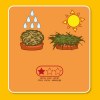 Kit terre cuite - plante éternelle - rose de jericho