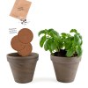 Pot terre cuite basalte 13cm - basilic grand vert bio