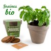 Pot terre cuite basalte 13cm - basilic grand vert bio