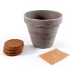 Pot terre cuite basalte 13cm - tomate cerise bio