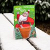 Carte nature père noël - pin