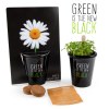 Pot black "green is the new black" - pâquerette