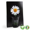 Pot black "green is the new black" - pâquerette