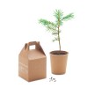 GROWTREE™ - Un set, un pin