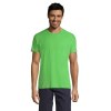 REGENT T-Shirt 150g