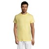 REGENT T-Shirt 150g