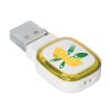 Clé USB COLLECTION 500