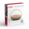 Enceinte LED chargeur induction rapide