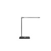 lampe induction 10W (Stock)