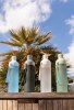 Bouteille étanche en tritan IMPACT