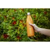 Topflask 790 ml single wall bouteille