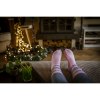 Cotton Socks chaussettes