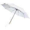 Parapluie 21" pliable windproof en PET recyclé Birgit