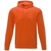 Sweat à capuche Charon pour homme