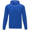 Sweat à capuche Charon pour homme