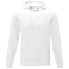 Sweat à capuche Charon pour homme