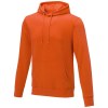 Sweat à capuche Charon pour homme