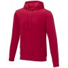 Sweat à capuche Charon pour homme