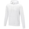 Sweat à capuche Charon pour homme