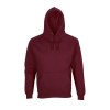 Sweat-shirt unisexe à capuche - CONDOR