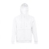 THC AMSTERDAM WH. Sweat à capuche pour homme
