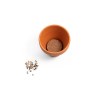 ANETHUM. Pot en terre cuite avec graines d'aneth